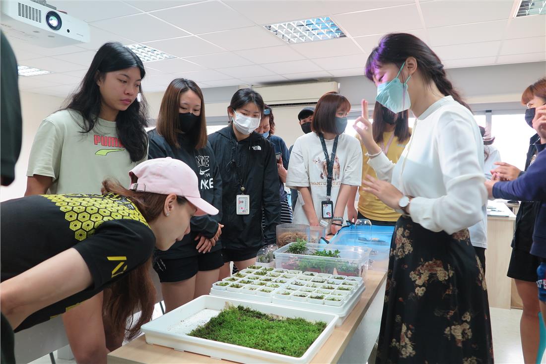 認識「白髮苔」、「大灰蘚」、「卷柏蘚」及「赤葉檜苔」的植物特性及外觀。