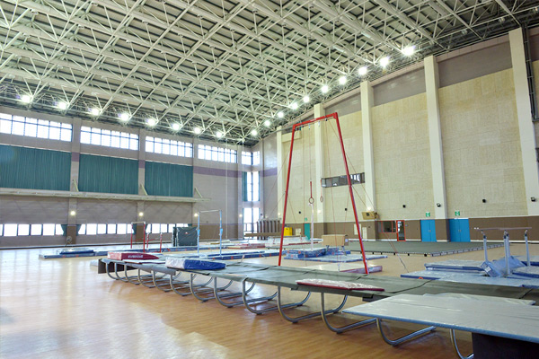 地板、鞍馬設施